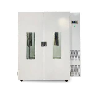 B(yng) SPX 2000B
