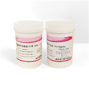 GenviewAgarose ֬(늝B GA05L-100G