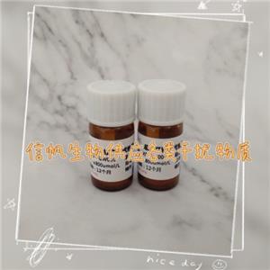 ��������ø��ACP���ɔ_���|(zh��)