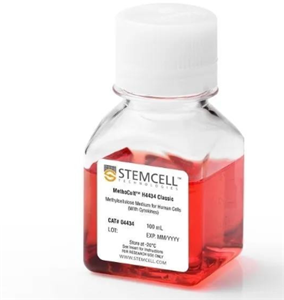StemCell 04434 ĚѪɼB(yng) F(xin)؛V|ֱN|(lin)ϵԒ19172390392