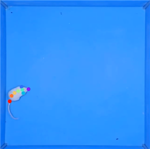 AIϸΪϵͳ