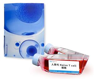 ԭ Naive T cell(x)
