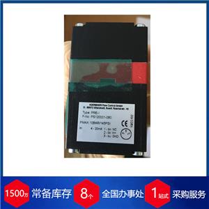 WHoerbigeryPS11048