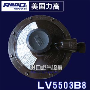 (gu)regoҺpyLV5503B8(j)py627-496߉y