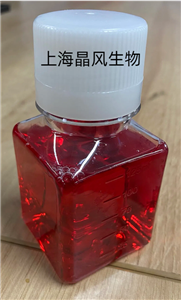 ˰װ(x)BIU87ȫB(yng)