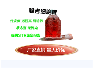˽Y(ji)cƤ(x)HCEC-1CT ATCC(x)