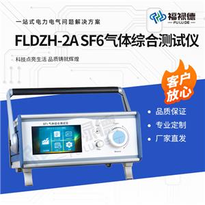 FLDZH-2A SF6wCϜyԇx