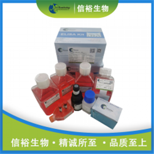 PolyproFect Transfection Reagent