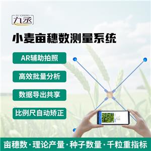 С딵(sh)yϵy(tng)