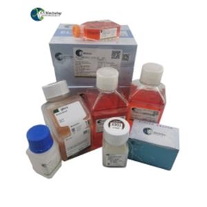 CD45wԇ߽MW