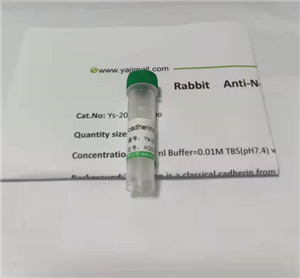 APC(bio)ӛ(ab)2ƬСIgG H&L