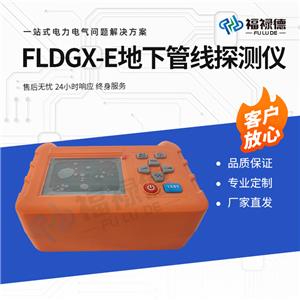 FLDGX-E¹ܾ̽y(c)x