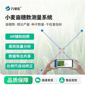 С딵OyO