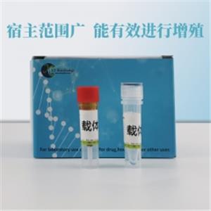 pIRES-hrGFP-1 (Vitality)