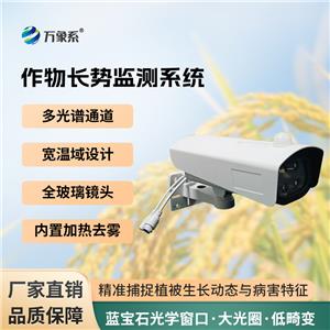(zi)O(jin)ϵy(tng)